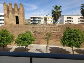 On the Macarena wall with private parking - Image 5