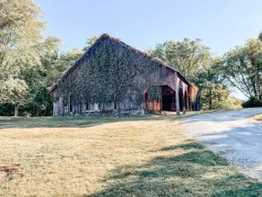 Private cabin, close to town - Image 2