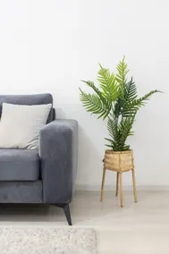 Top BnB Tirana - Image 5
