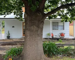 Buchan's Cosiest Cottage - close to Buchan Caves - Image 2