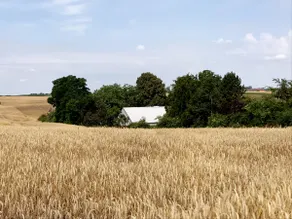 A house in the fields - Image 3