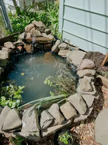 Kamm’s Corner Urban Garden Home - Image 5