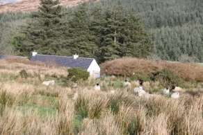 The Hidden Cottage, Ardara, Donegal. - Image 2