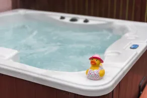 Birch Lodge 20 with Hot Tub - Image 4