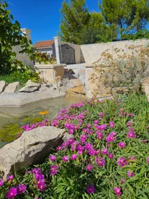 VILLA SARA - Image 2