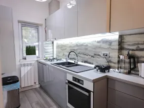 ase premium house - Image 5