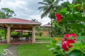 Beach Bungalow, Playa Palo Seco - Image 3
