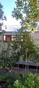 Book ”El Refugio Olmue” - Image 3