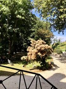 House Domaine GUIET, Gites Chez Morgane & Thomas - Image 3