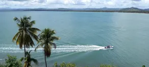 Waterfront, near the best rain forest waterfalls! - Image 2