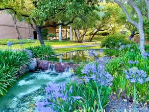 KeyLuxe, Jacuzzi—Pool—Gym—Tennis, Walnut Creek - Image 3