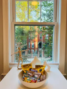 Newly Renovated Roxbury Tower - Image 4