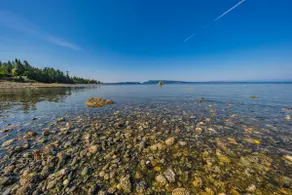 Waterfront Beach House In Bowser BC - Sleeps 7 - Image 2