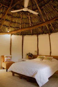 Casa Maya - Nature retreat in Yucatan - Image 3
