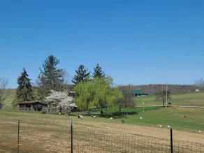 Sun Valley Farm Cottage - Image 5