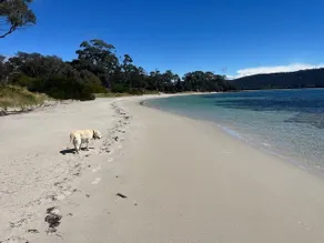 Family-friendly shack near East Shelly Beach - Image 4