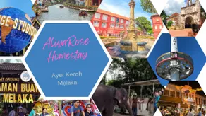 AliyaRoseMuslim Homestay - Image 2