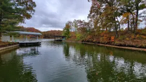 Lake Sara Dream - Image 4