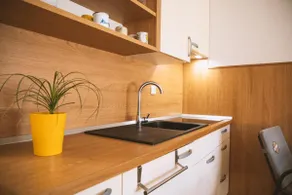 Sunny Apartment | Mountain View - Image 5