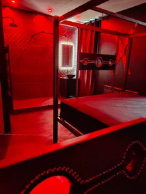The Defended House – The Golden Cage - Image 5