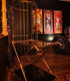 The Defended House – The Golden Cage - Image 2