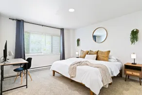2 Bed 2 Bath Comfy Apartment close to UW - Image 3