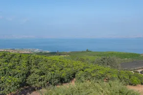 Ramot Kinneret - Kinneret Suite - Image 4
