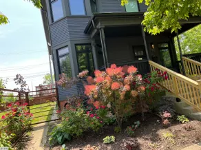 Huge Historic Home w Huge Yard - Image 3