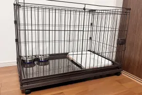 Pet-friendly room [2 double beds, maximum 4 people + pet] Large dogs and cats allowed - Image 3