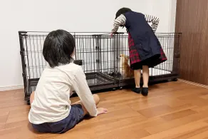 Pet-friendly room [2 double beds, maximum 4 people + pet] Large dogs and cats allowed - Image 5