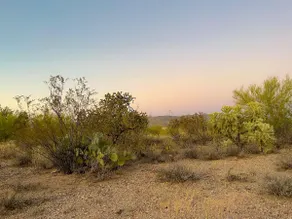 Desert Gem Guesthouse - Image 4