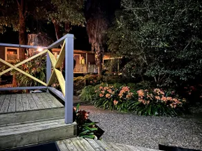 The Bower: Lush Tropical Garden: birds galore - Image 2