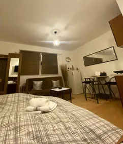 Apartment in Sarajevo - Image 5