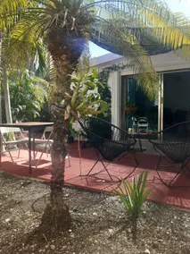 Casa Palma - Image 5