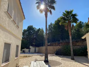 Villa Altea 2 pools - 24 persons - Image 2