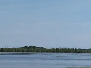 Oneida Lake Fishing, with a Game Room - Image 2