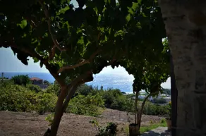 Caretta Caretta Apartment - Image 4
