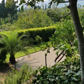 Villa Angelino Etna - Image 2