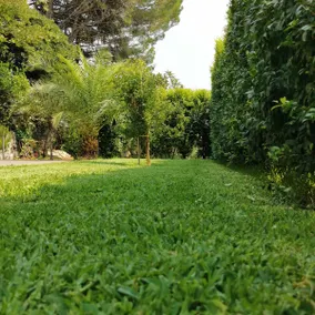 Villa Angelino Etna - Image 4