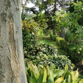 Villa Angelino Etna - Image 3