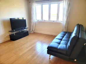 Cozy & FREE parking 2BR apt in Chicago Chinatown! - Image 2