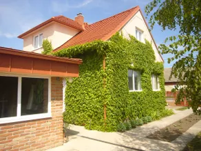 Vínny dom - Rumcajz - Borház - Image 5