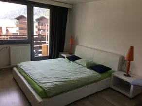 Apartment with swimming pool - close to the ski slopes - Image 4