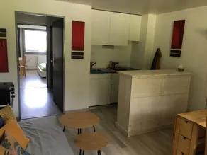 Apartment with swimming pool - close to the ski slopes - Image 2