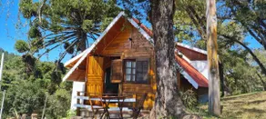 Pinho Bravo Cottage - Image 2