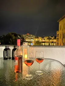 Danube view Apartment with terrace - Image 2