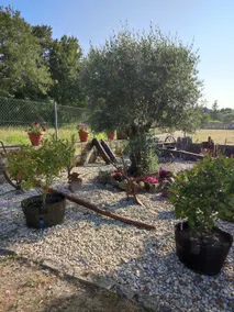 Vilaboa Paradise - Image 2