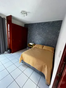 Orizaba Centro with garage - Image 3