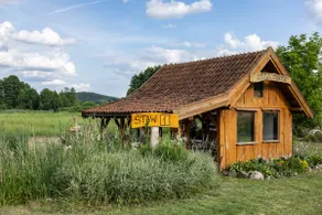 woodworking house under birch trees - Image 2