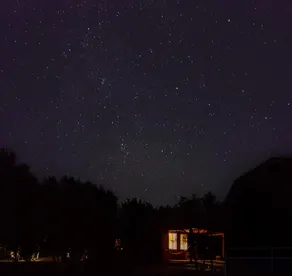 Bear Cabin Secluded Paradise | 5 guests | 1 acre - Image 2